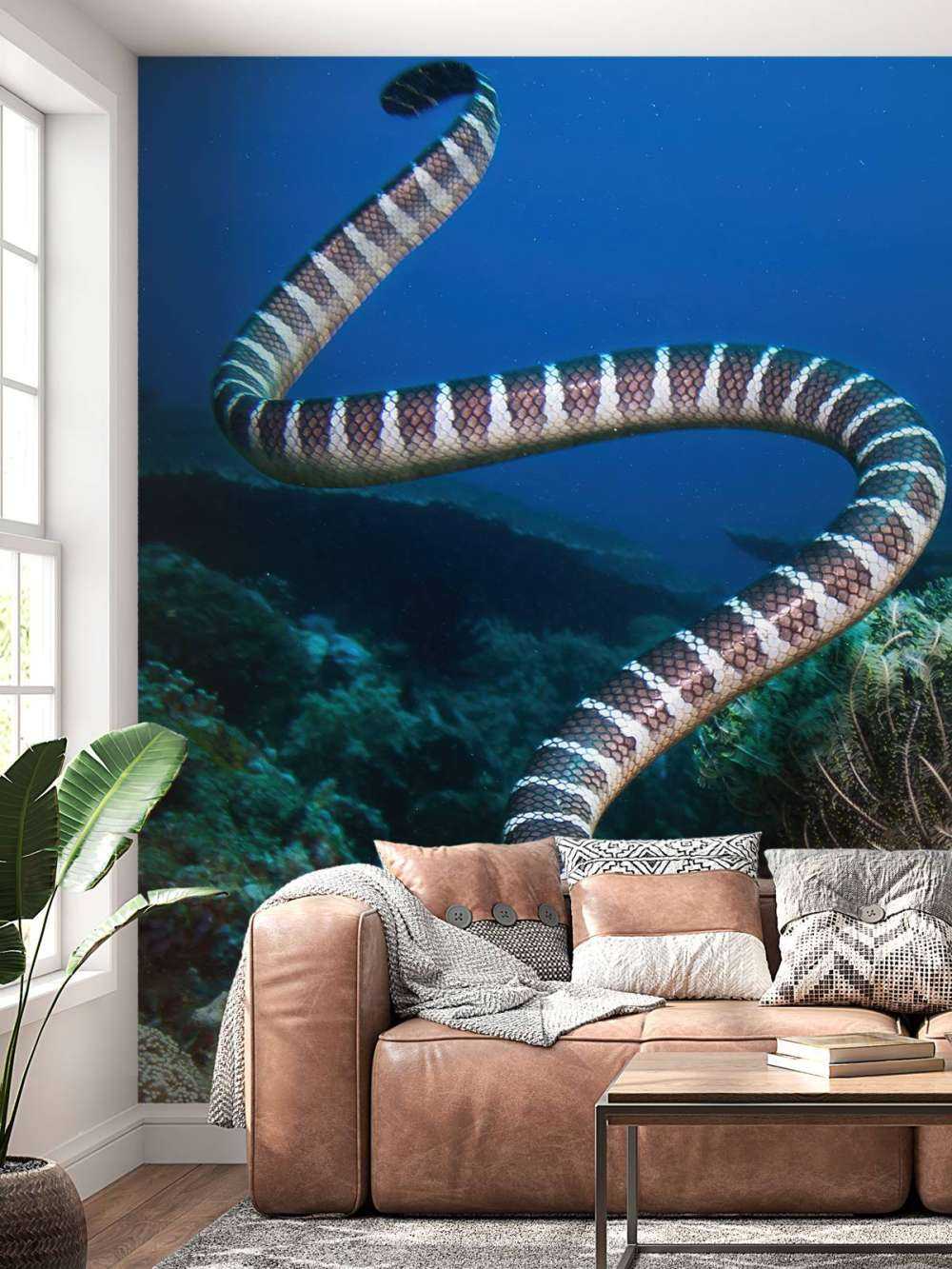 Serpent de mer rayé