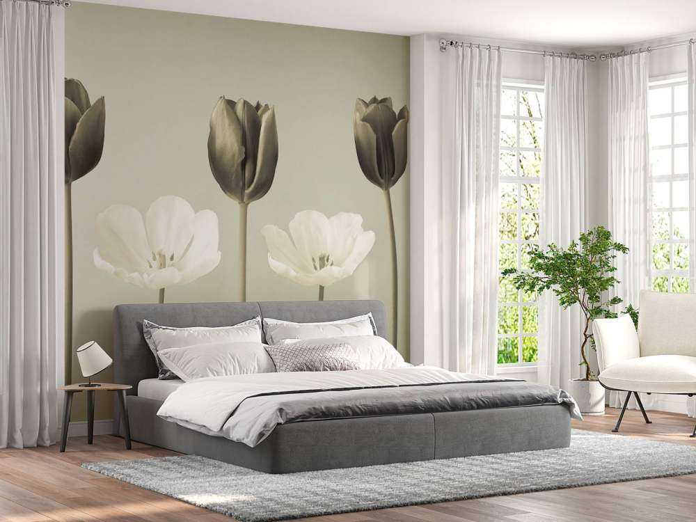 Tulipes en ligne