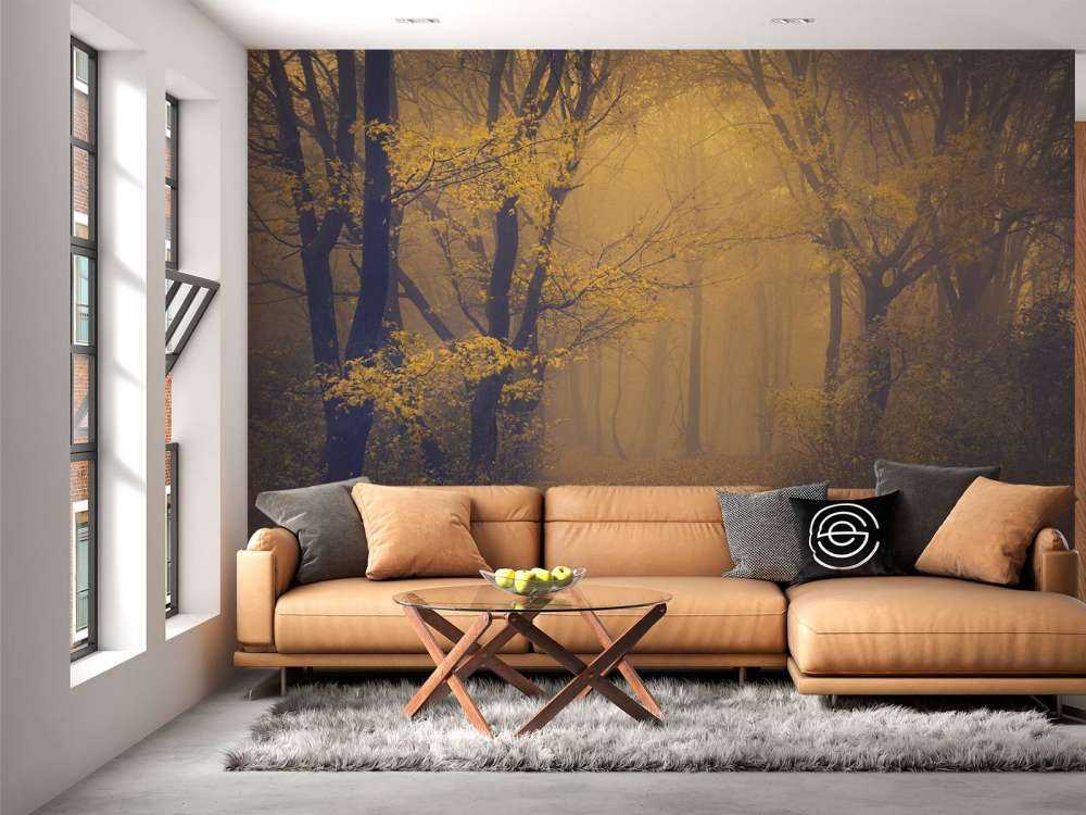 Forêt sombre