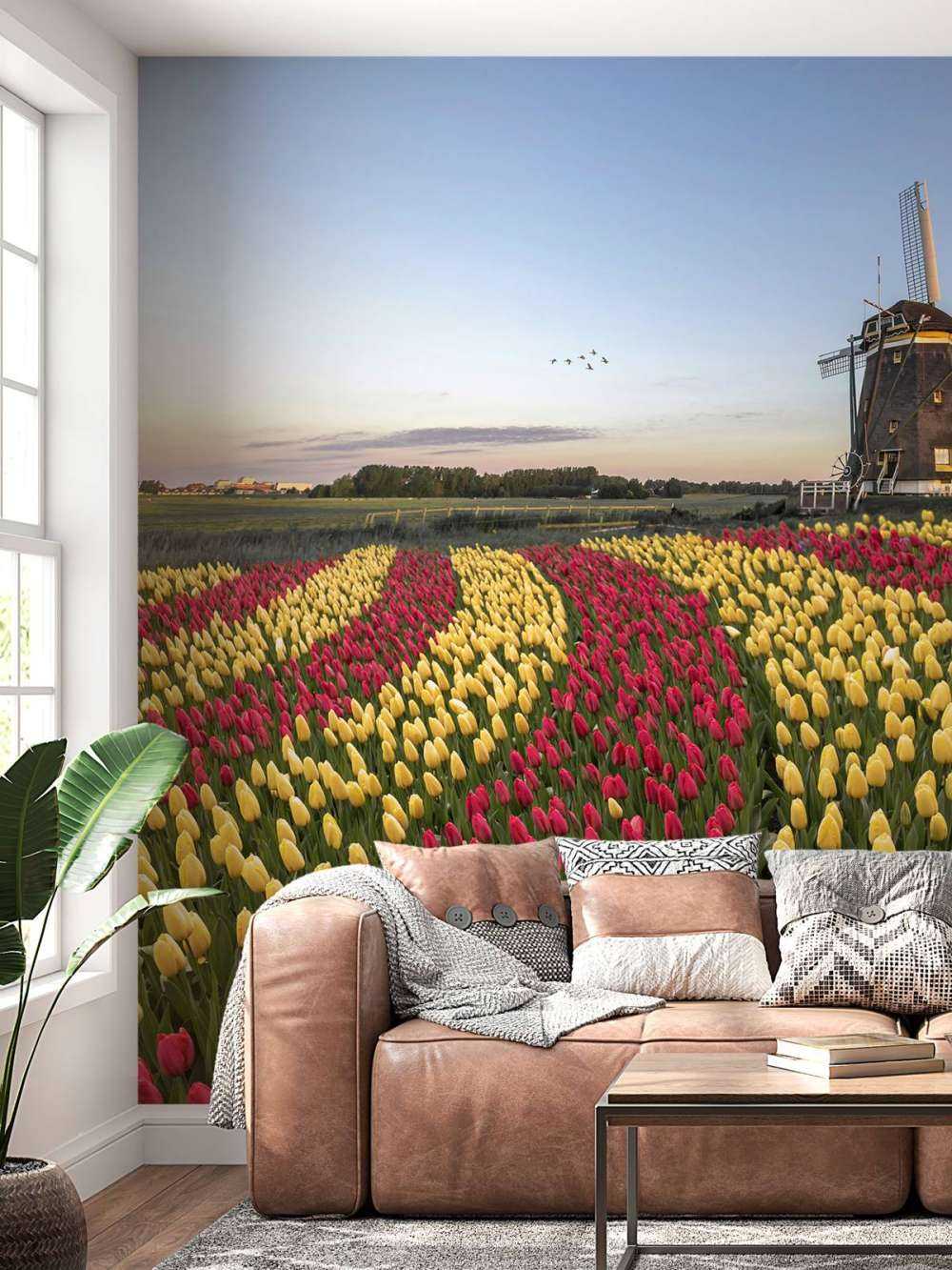 Champ de tulipes néerlandais