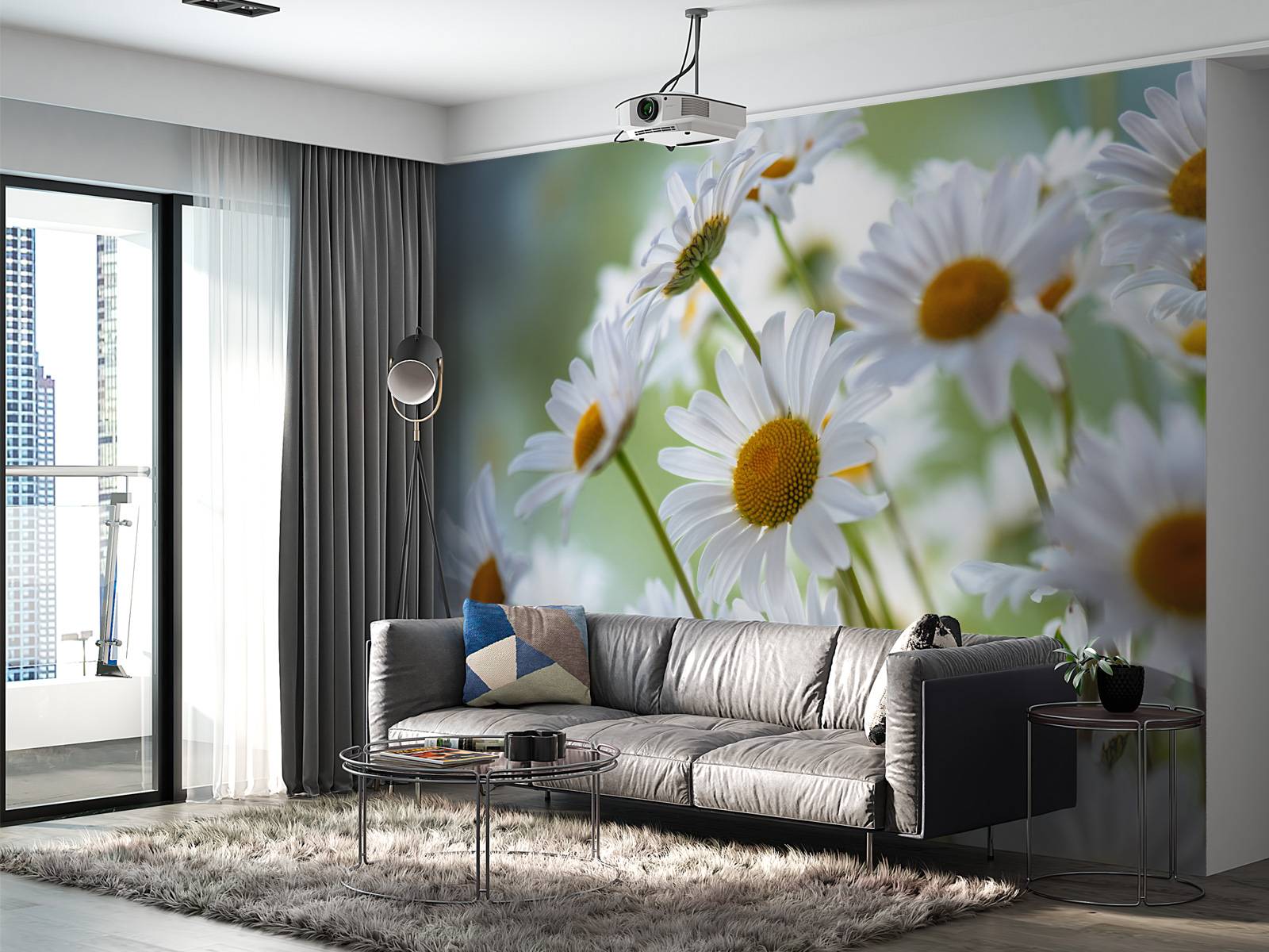 Gros plan sur les marguerites