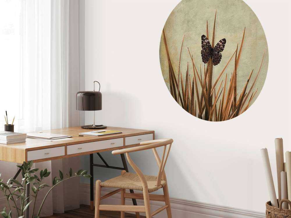 Papillon près d'un vieux mur