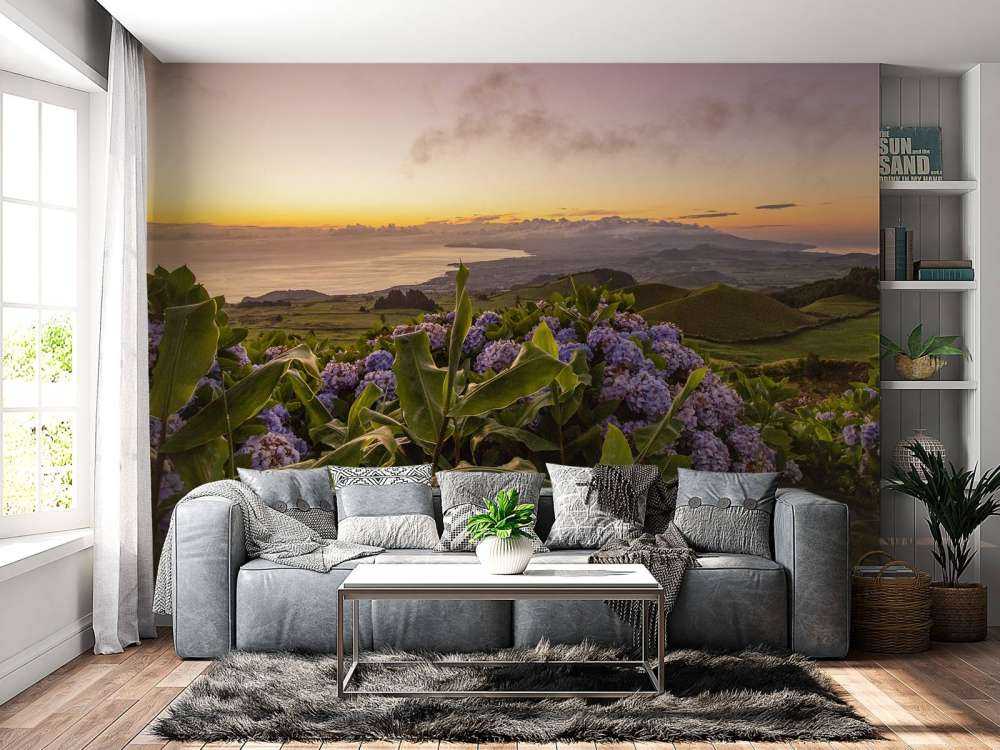 Coucher de soleil avec des hortensias