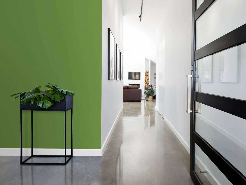 Vert Avocat