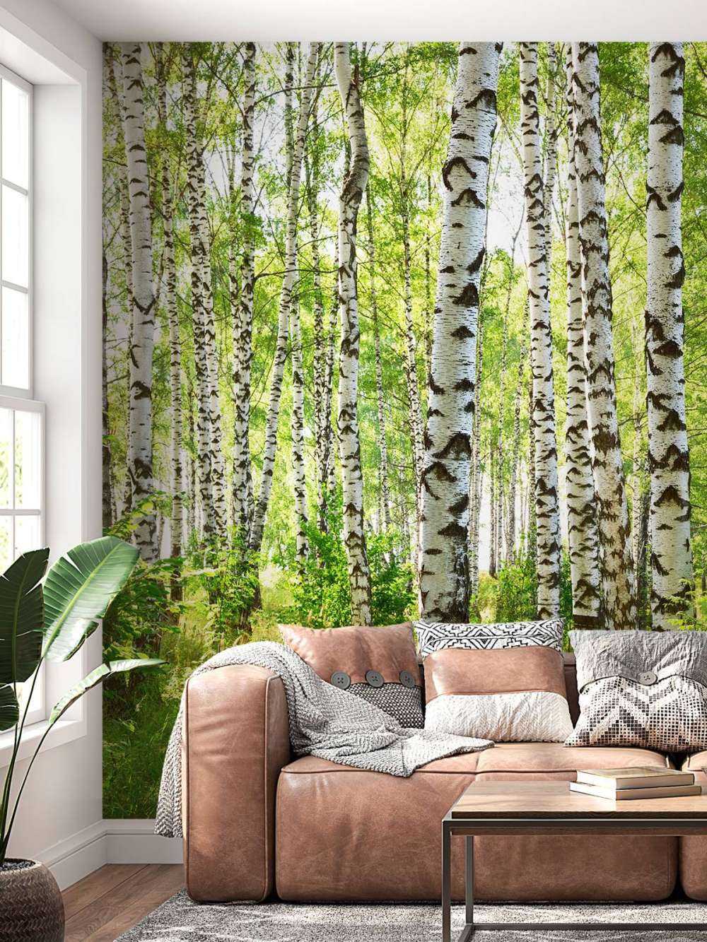 Troncs d'arbres