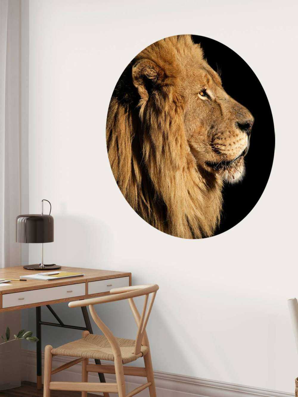 Profil latéral d'un lion