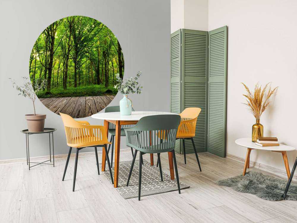 Forêt luxuriante