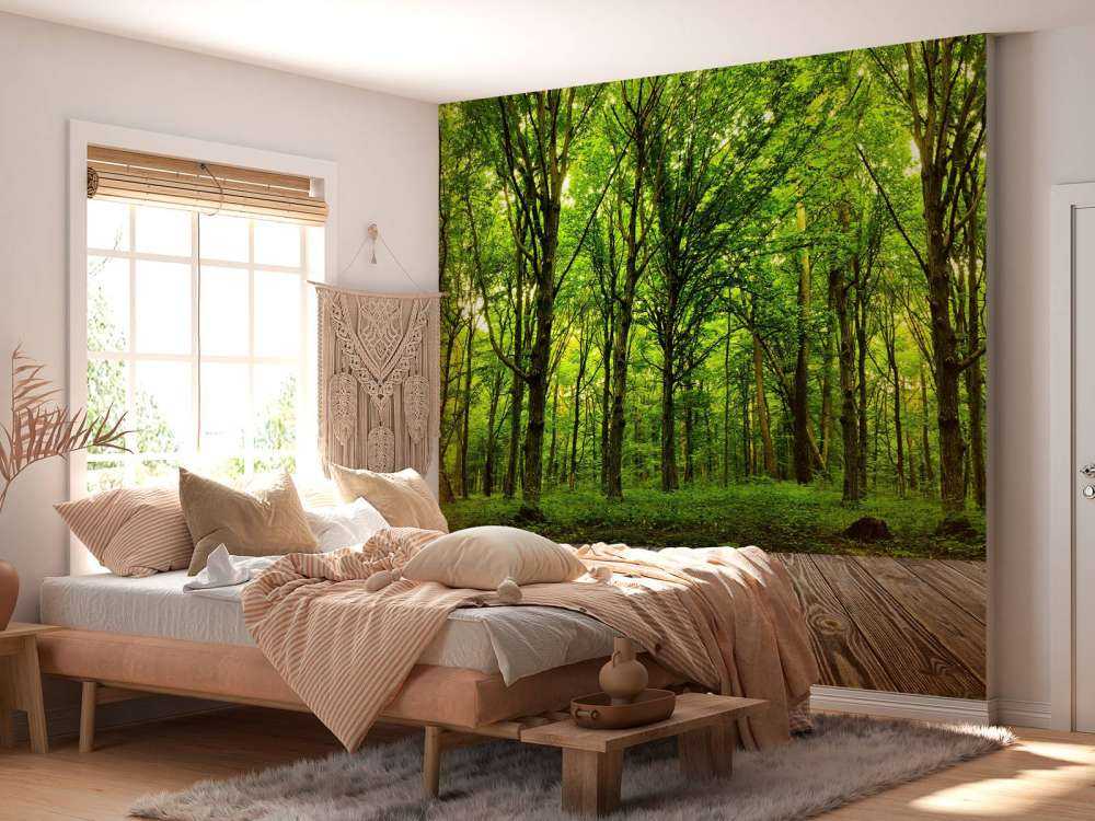 Forêt luxuriante