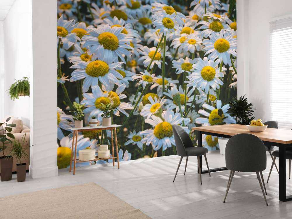 Marguerites vintage