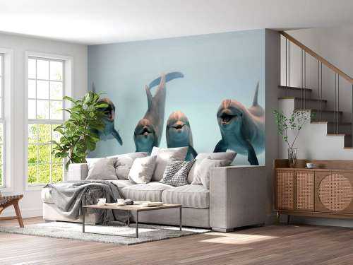 Dauphins rieurs