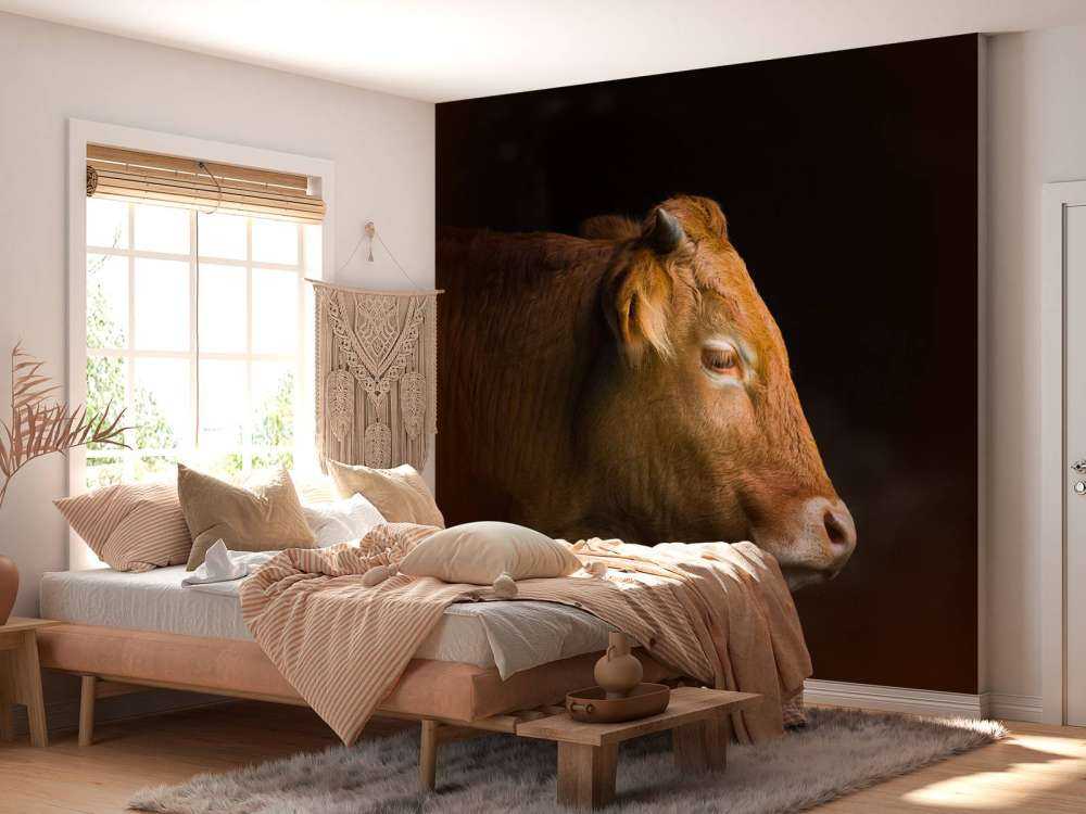 Bullshead