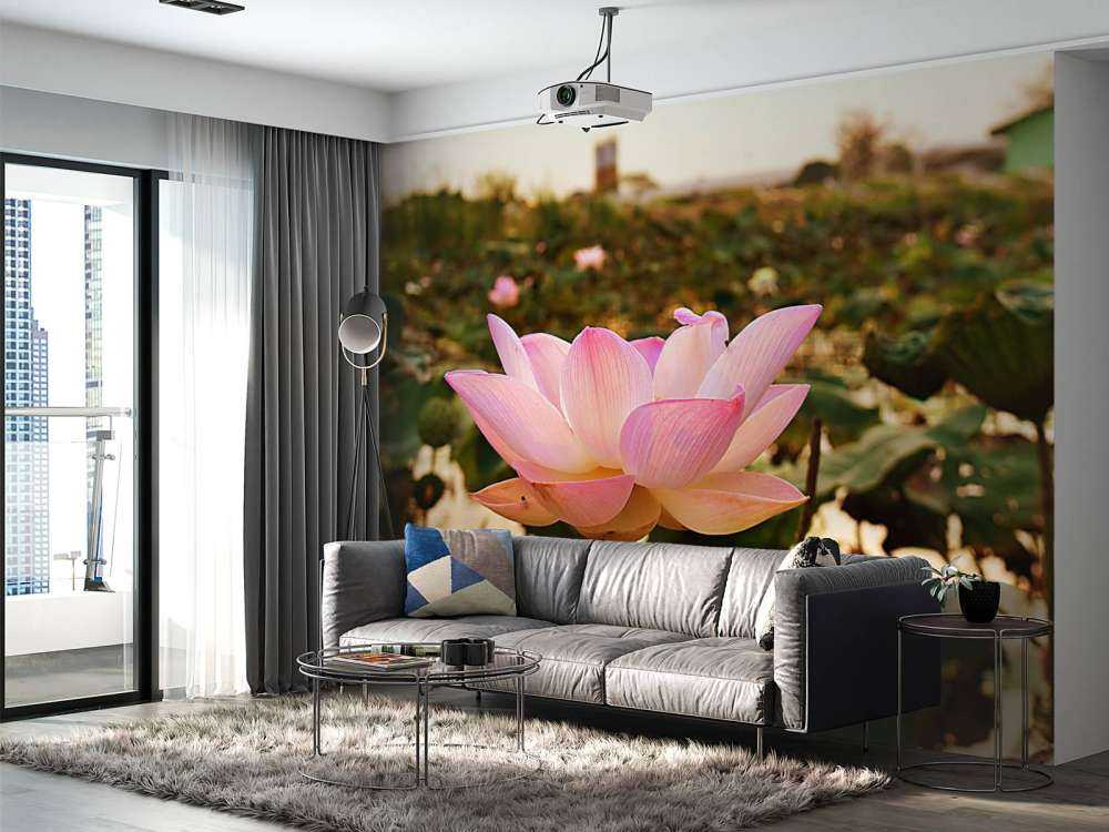 La fleur de lotus rose