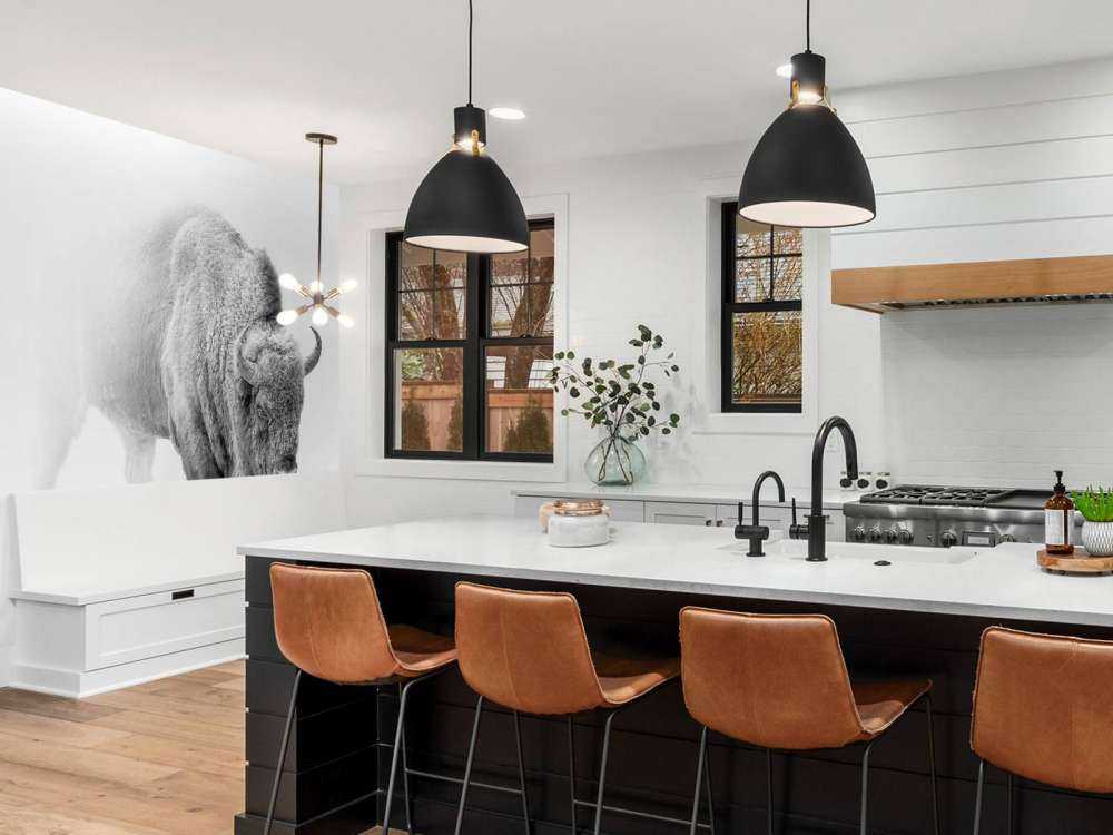 Bison noir et blanc