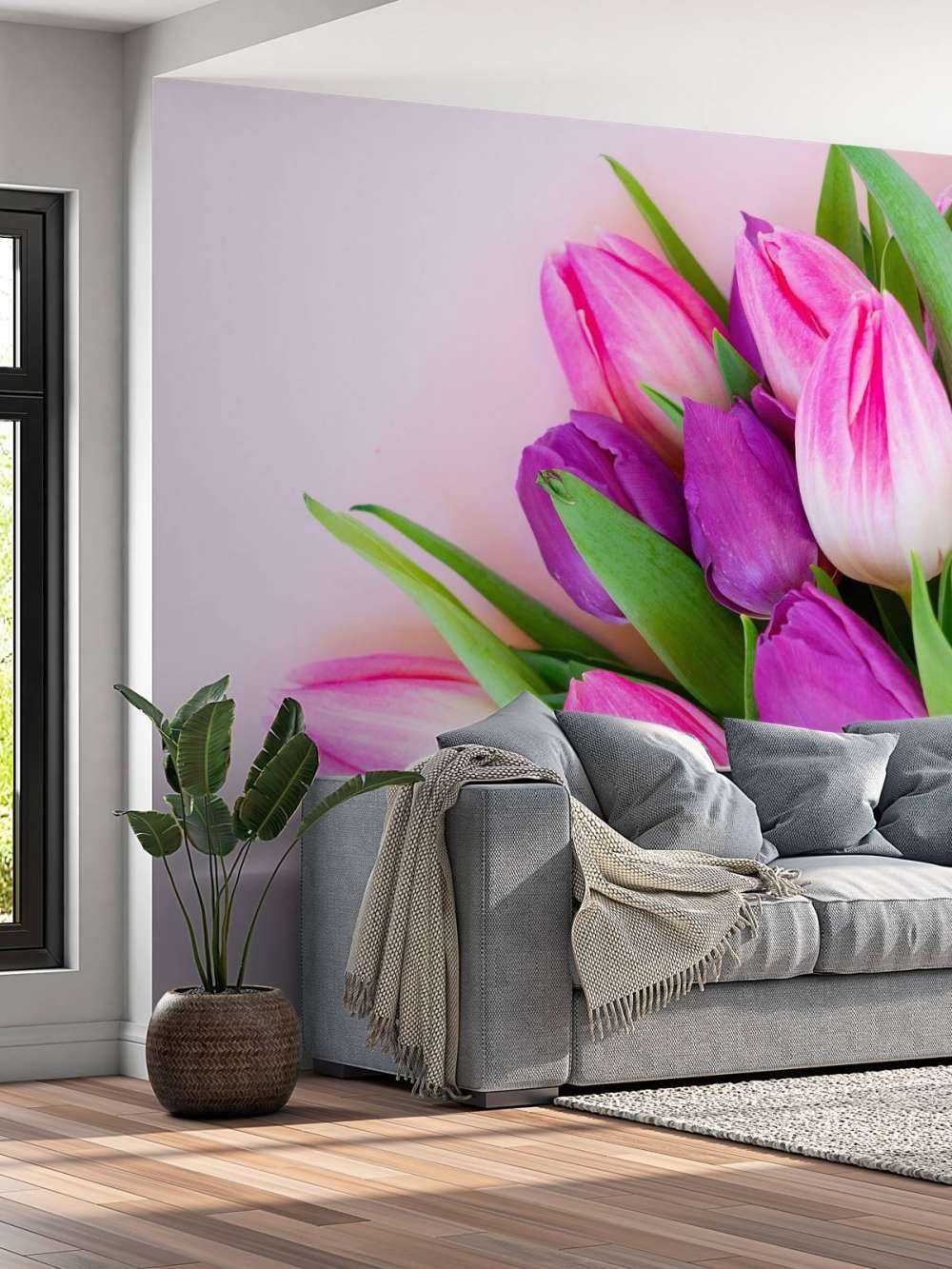 Tulipes roses