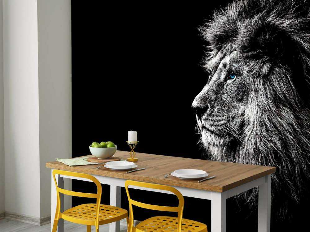 Lion aux yeux bleus