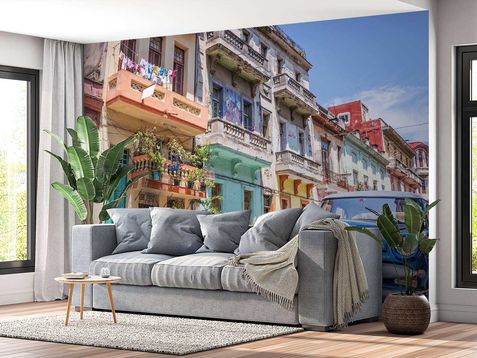 Paire De Grands Leviers De Changement De Vitesse Campagnolo Ultra-Shift, Neufs Et Intacts