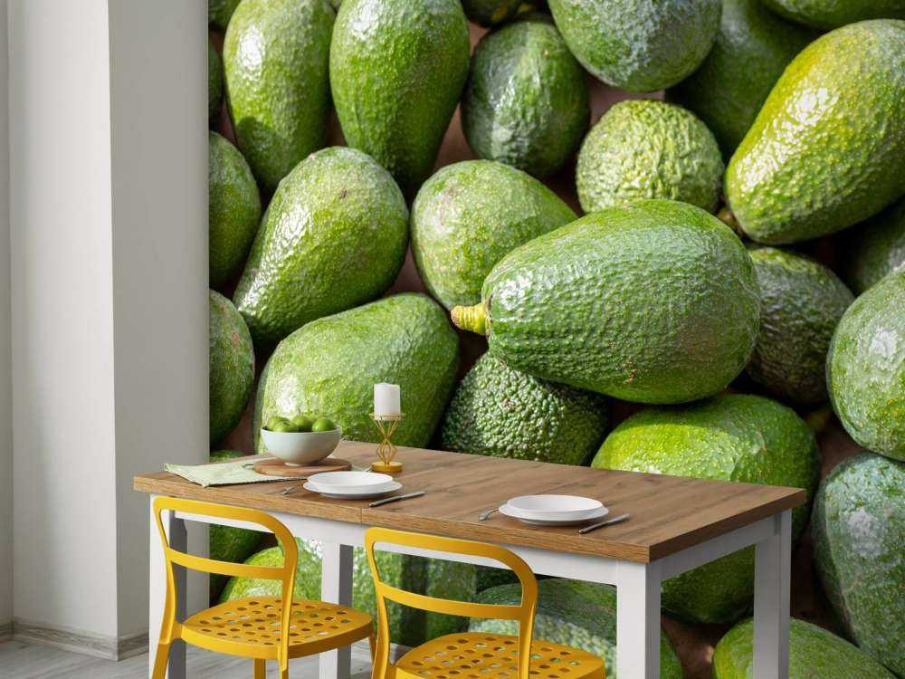 Avocats