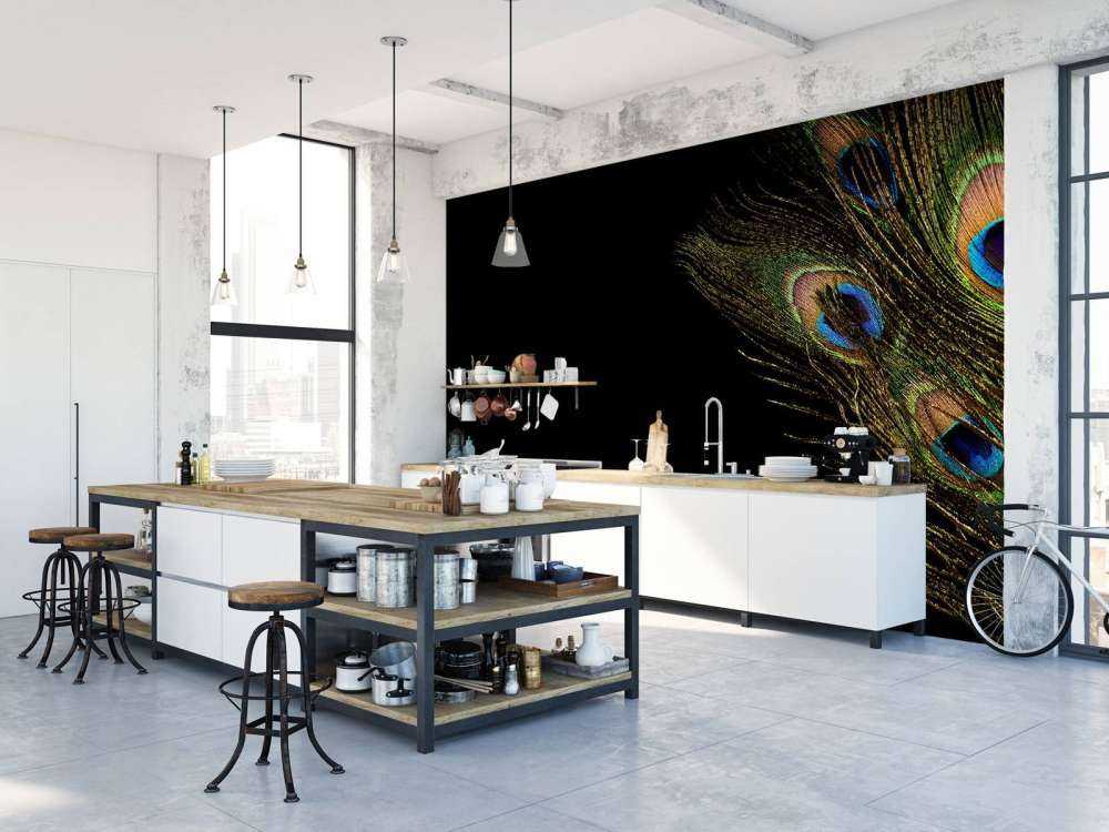 Plume de paon colorée