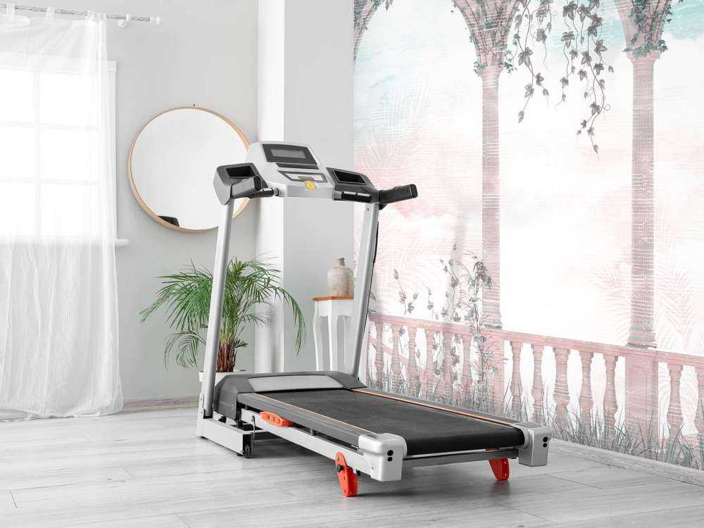 Bâtiment dans la jungle