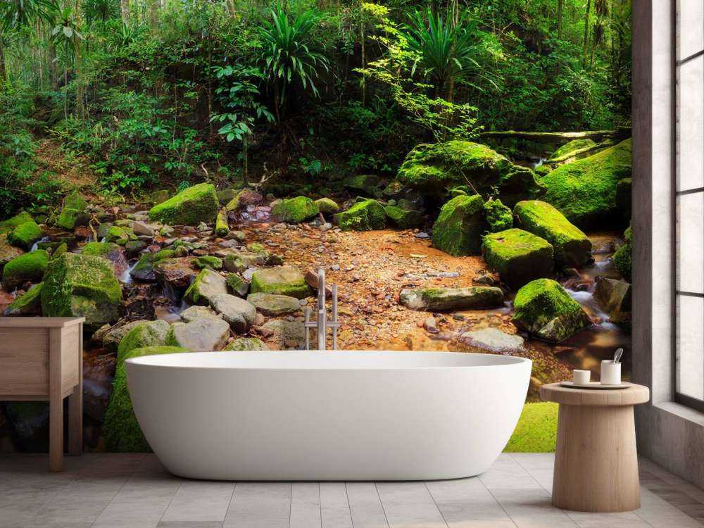 Forêt tropical