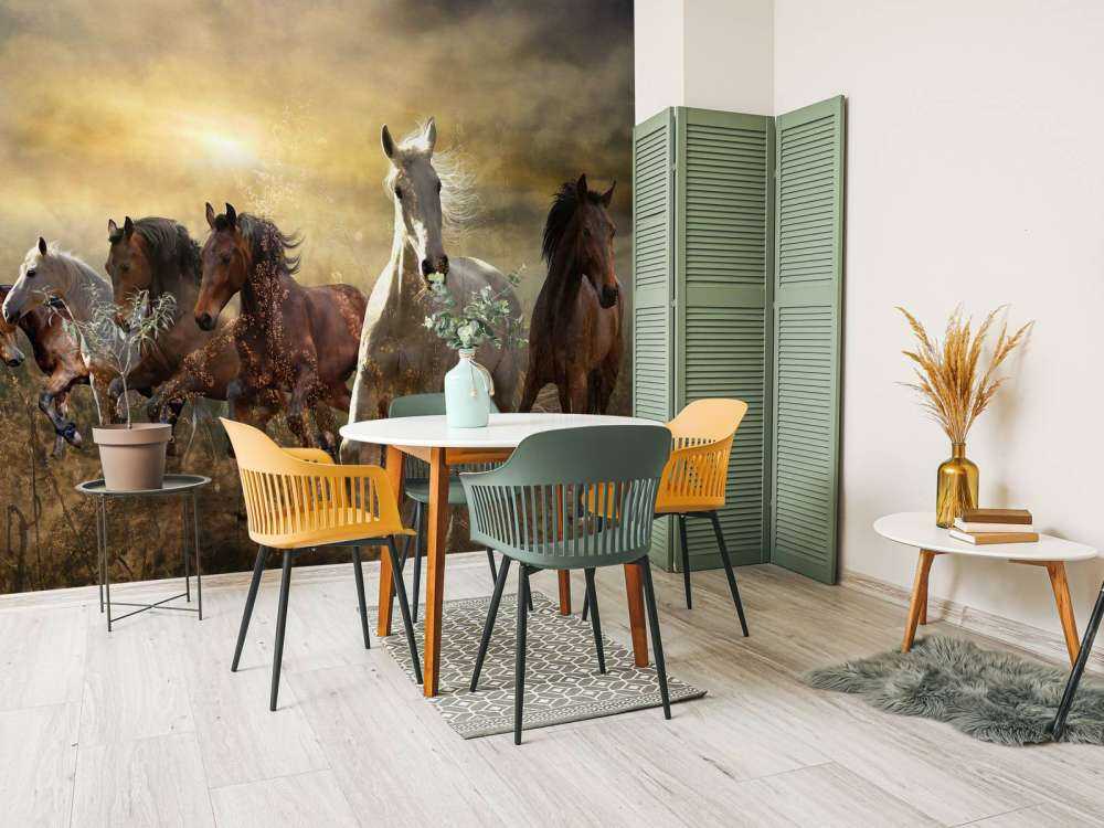 Chevaux au galop au coucher du soleil