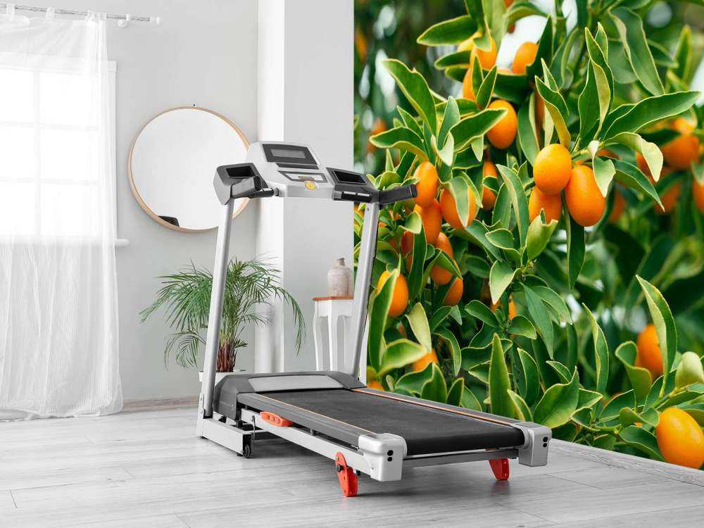 Arbre fruitier