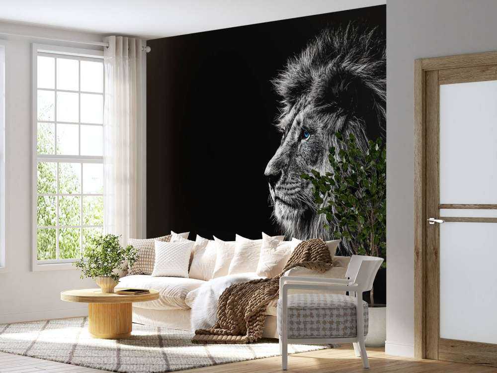 Lion aux yeux bleus