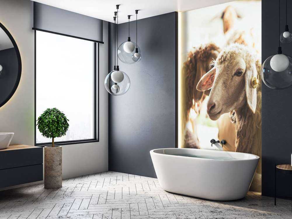 Mouton dans une étable