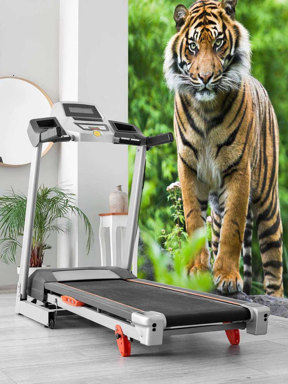 Tigre debout sur une pierre