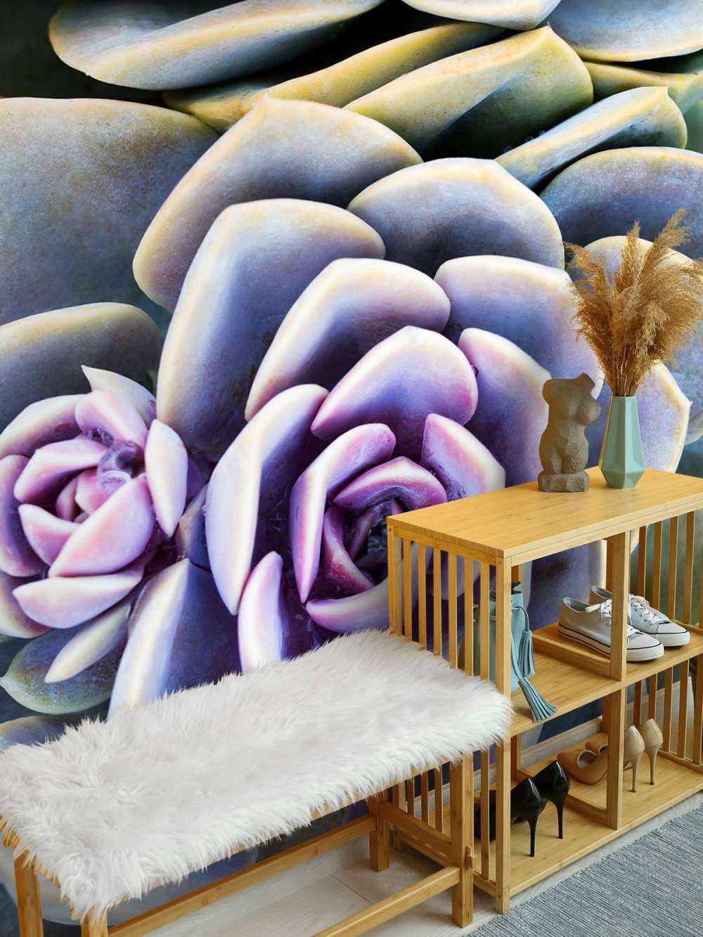 Succulents