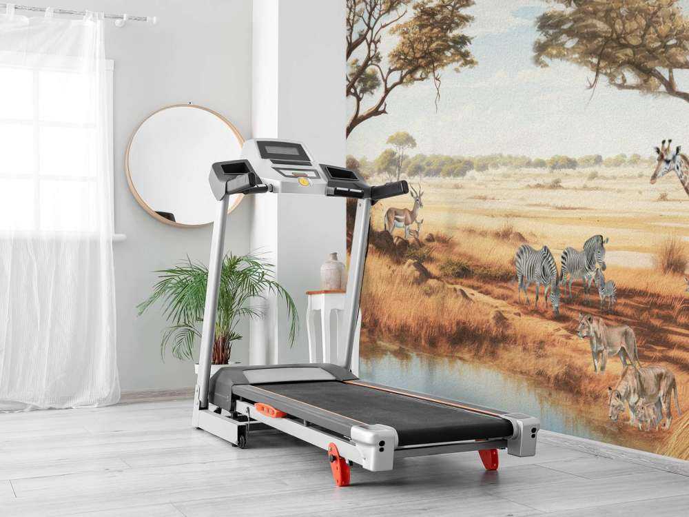 Paysage de safari en couleur