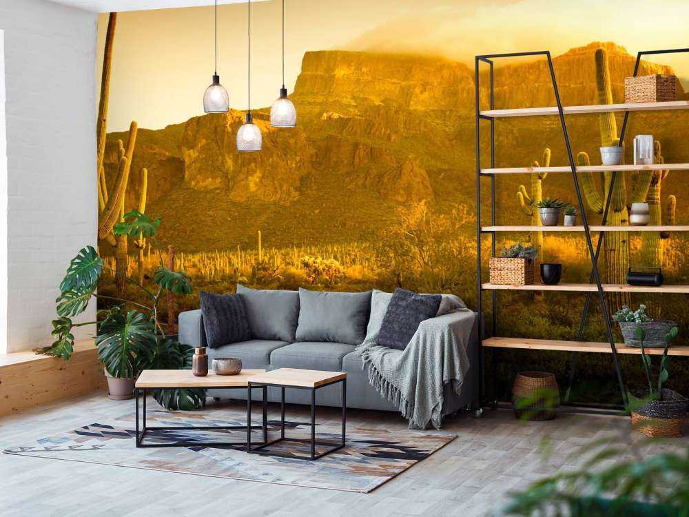 Le désert avec les cactus