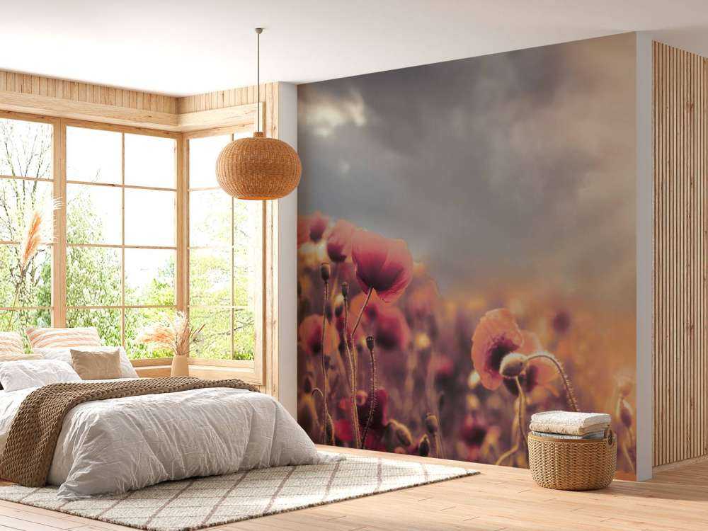 Coquelicots d'époque