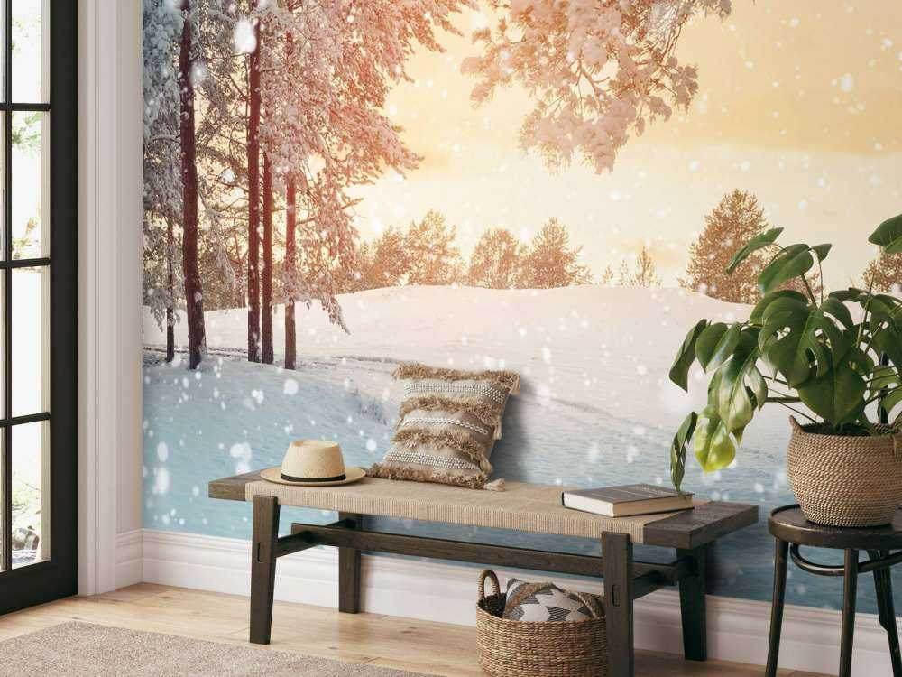Pins avec de la neige