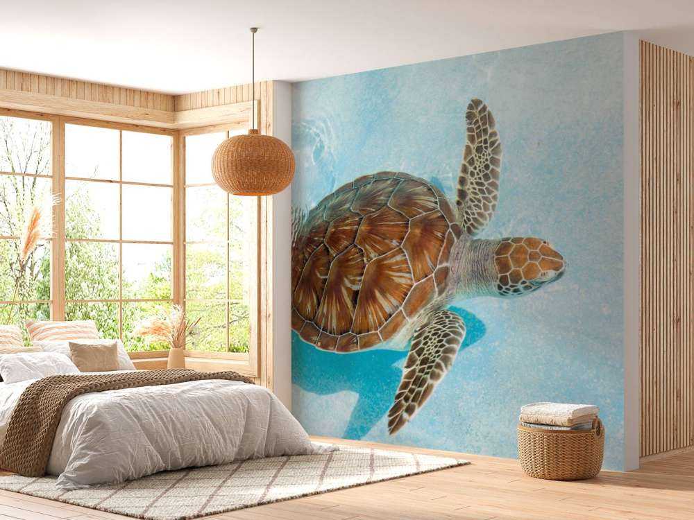 Une tortue dans l'eau