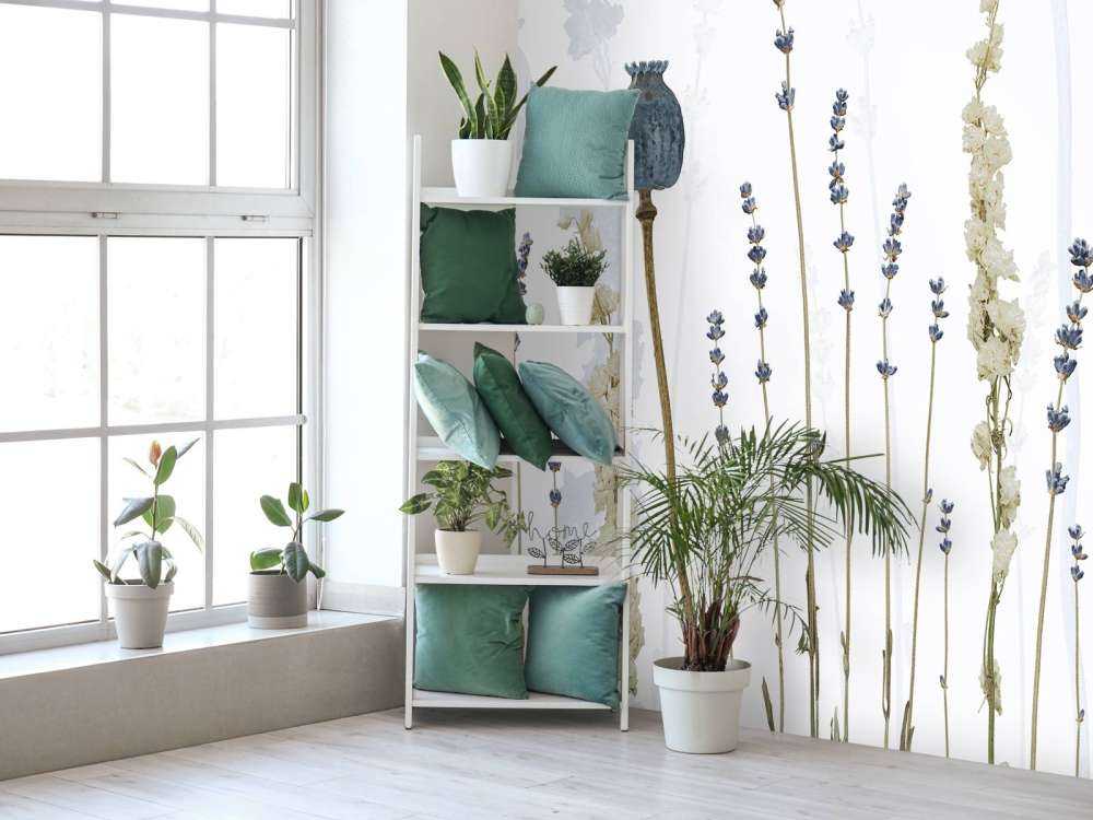 Aquarelle Flore Rêve