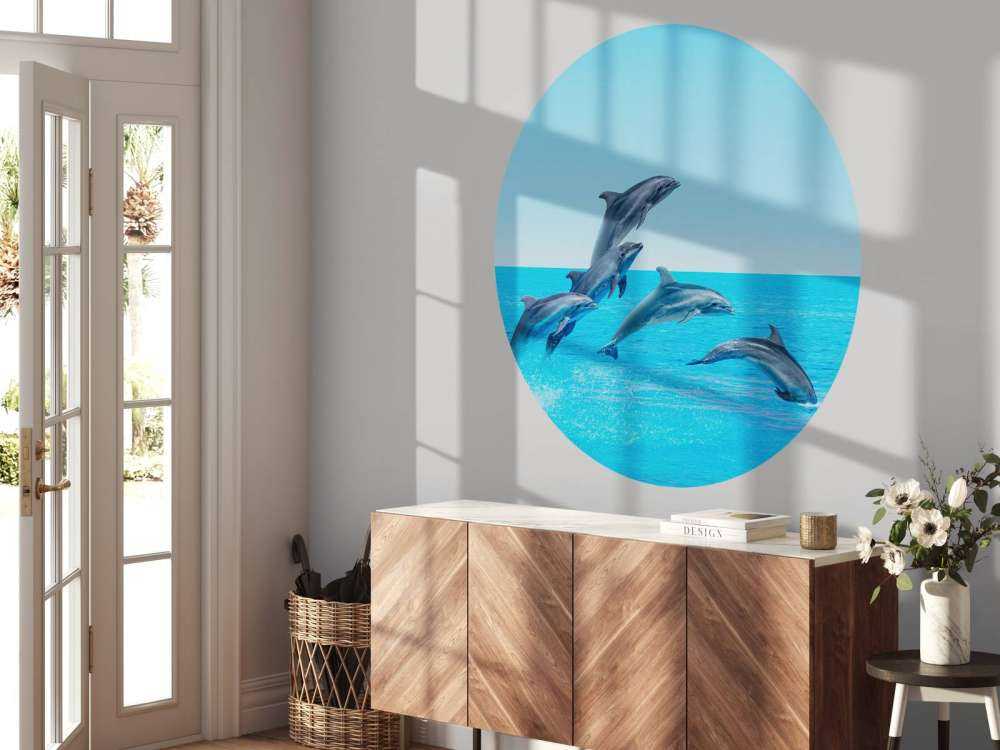Dauphins sauteurs