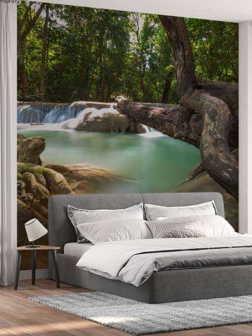 Chute d'eau dans  jungle