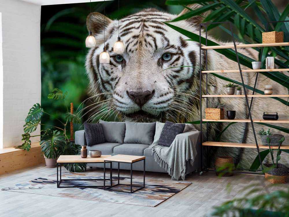 Tigre blanc