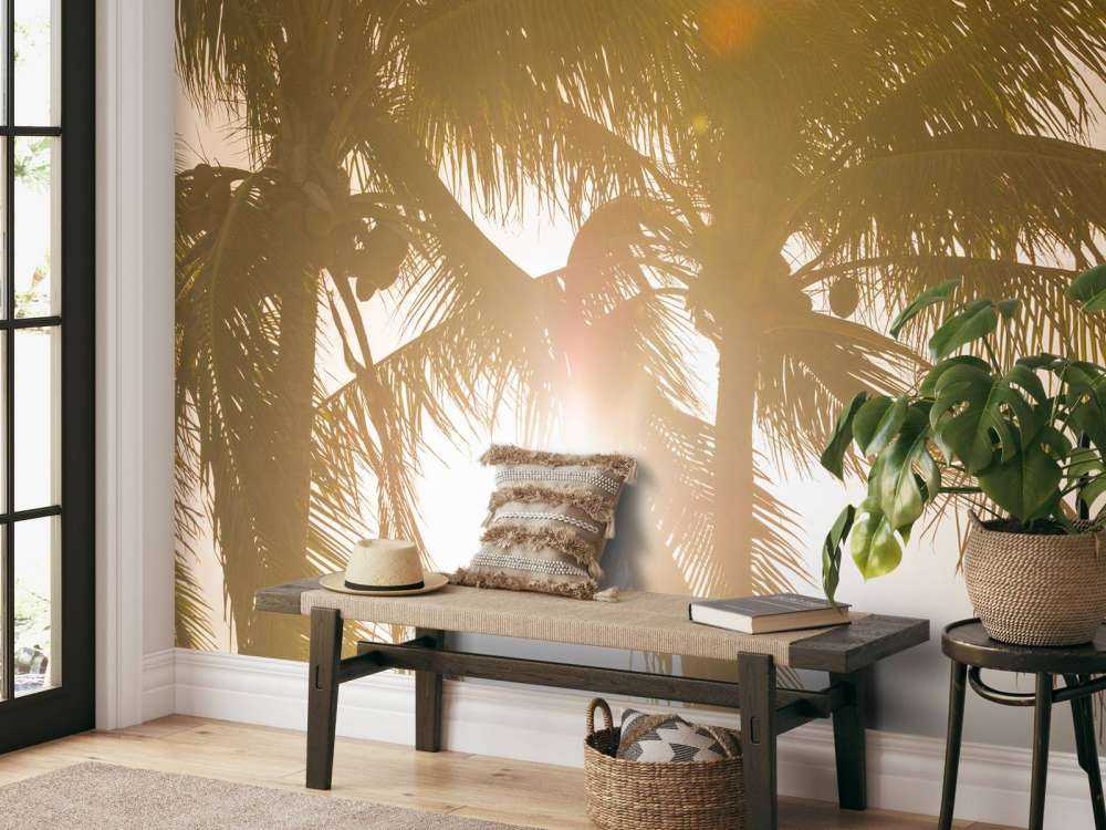Palmiers tropicaux