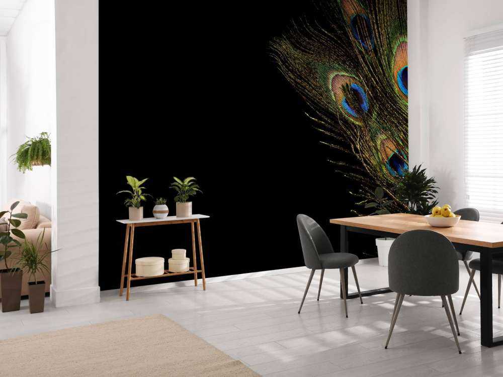 Plume de paon colorée