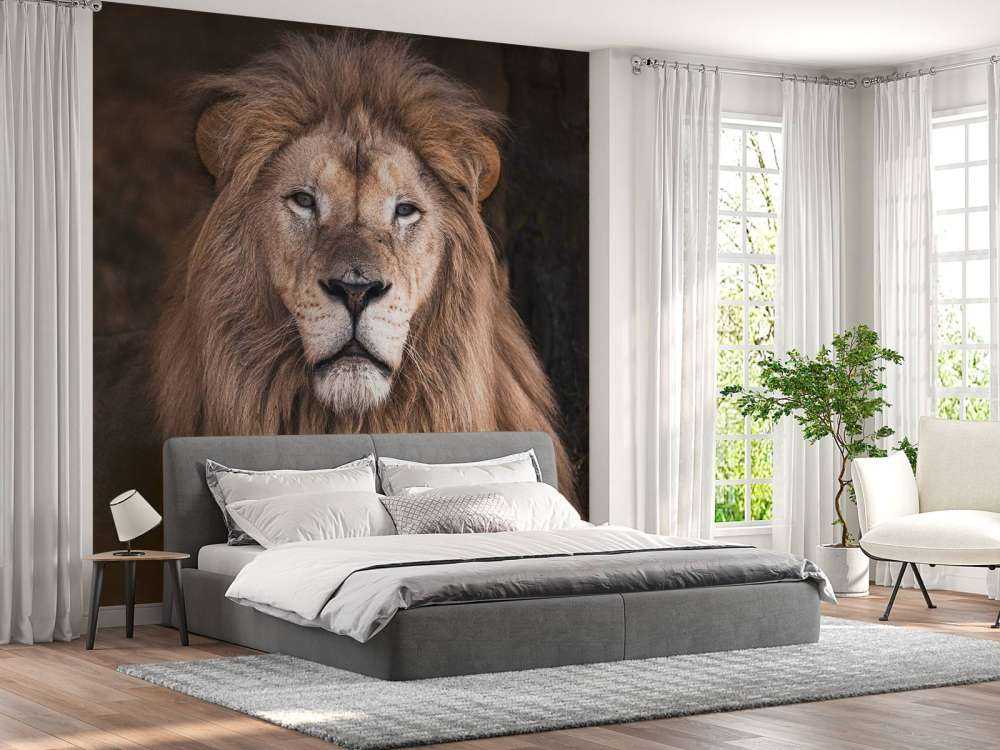 Portrait d'un lion
