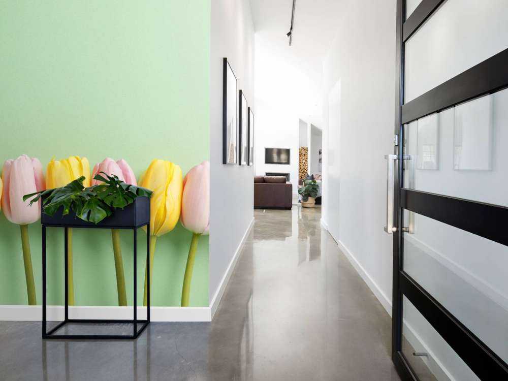 Petites tulipes sur vert menthe