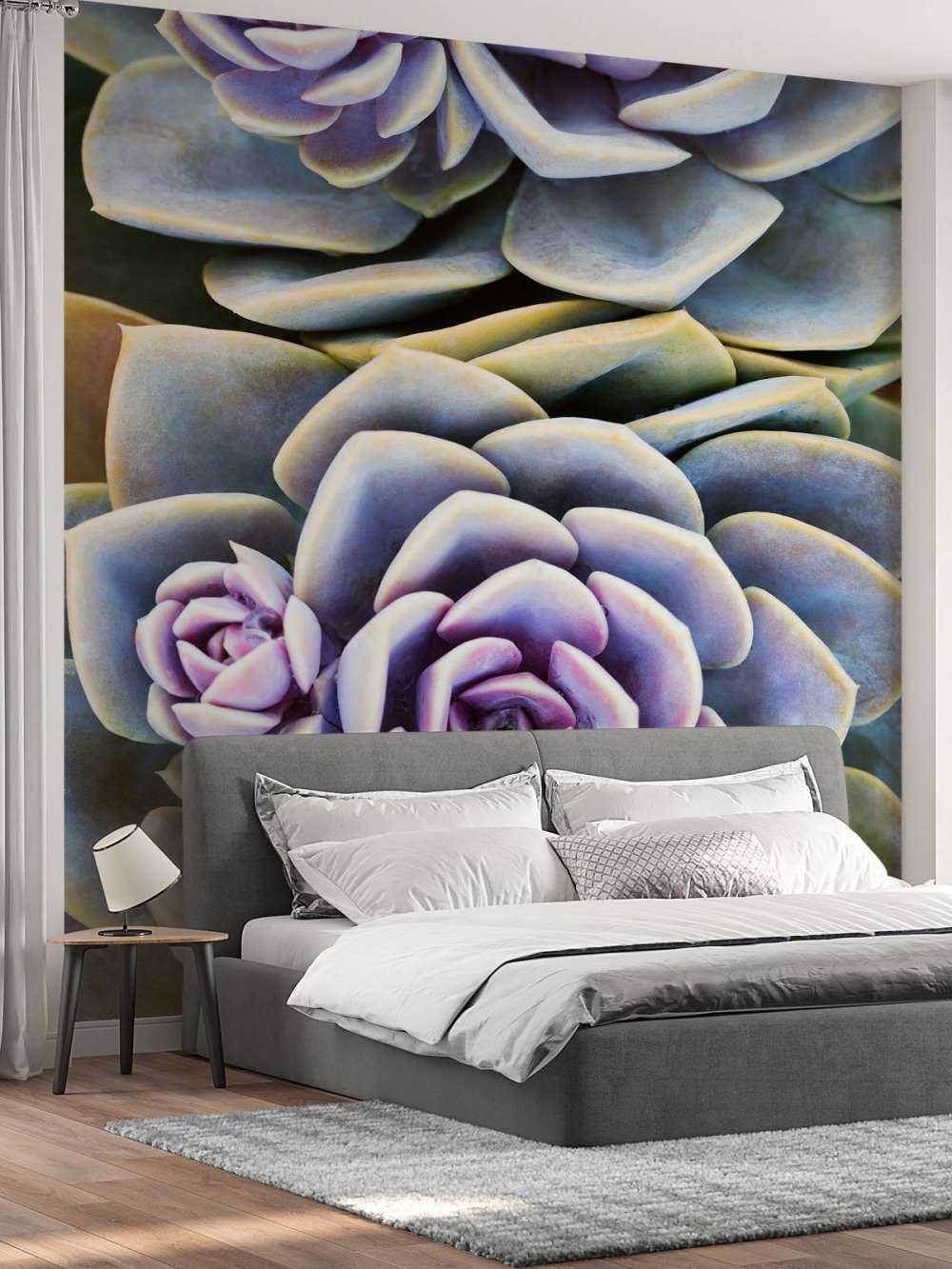 Succulents