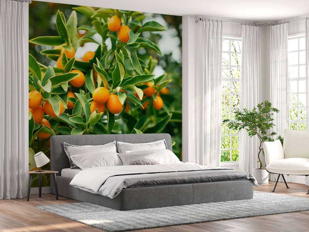 Arbre fruitier
