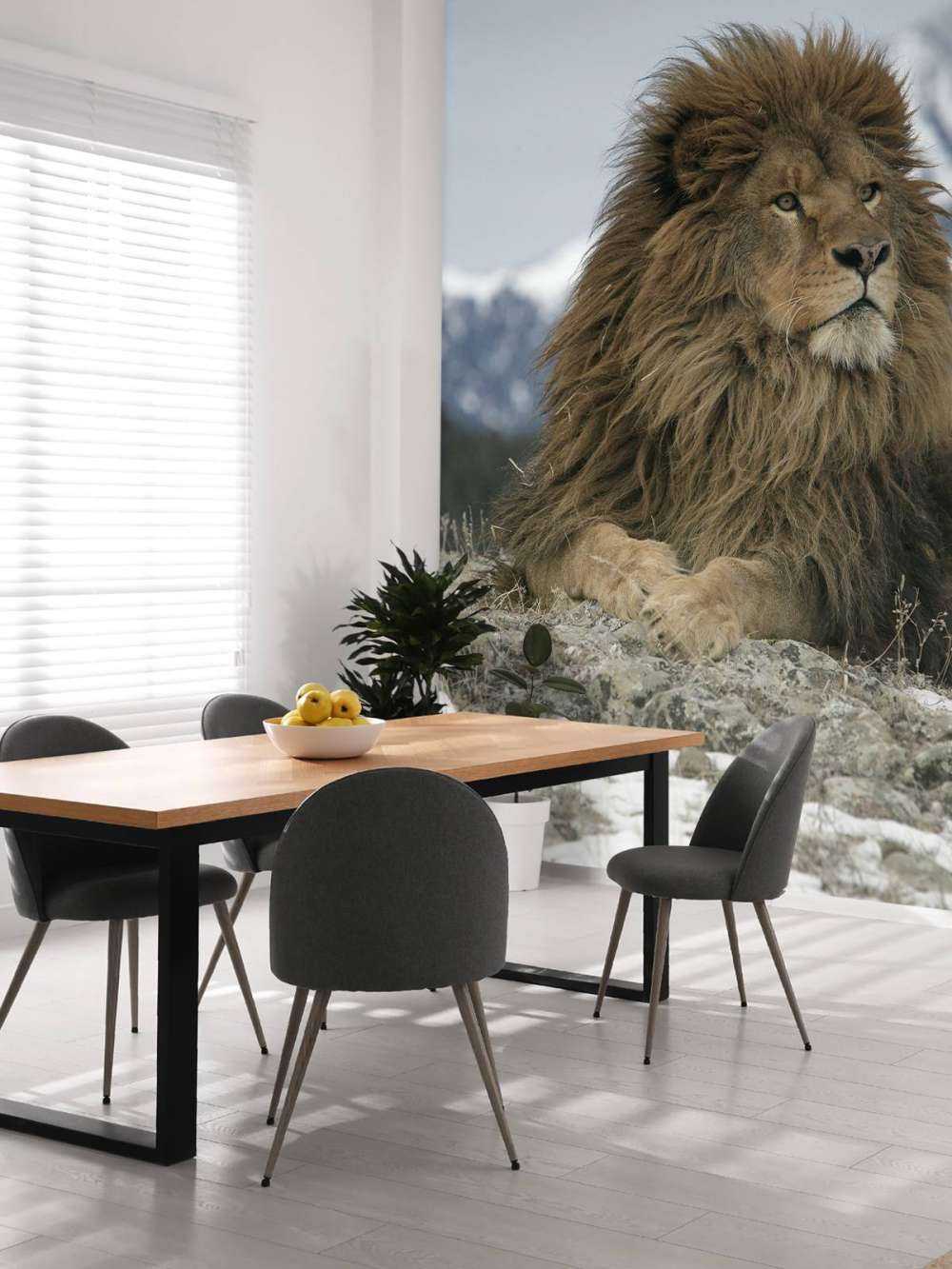 lion de Barbarie