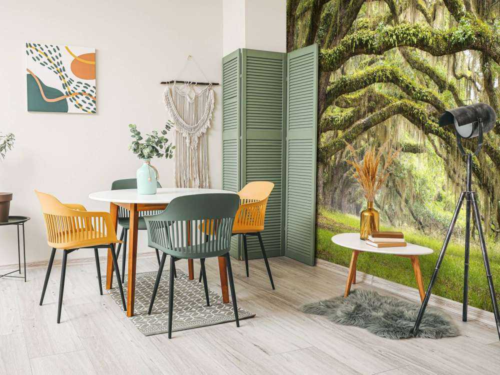 Forêt enchantée