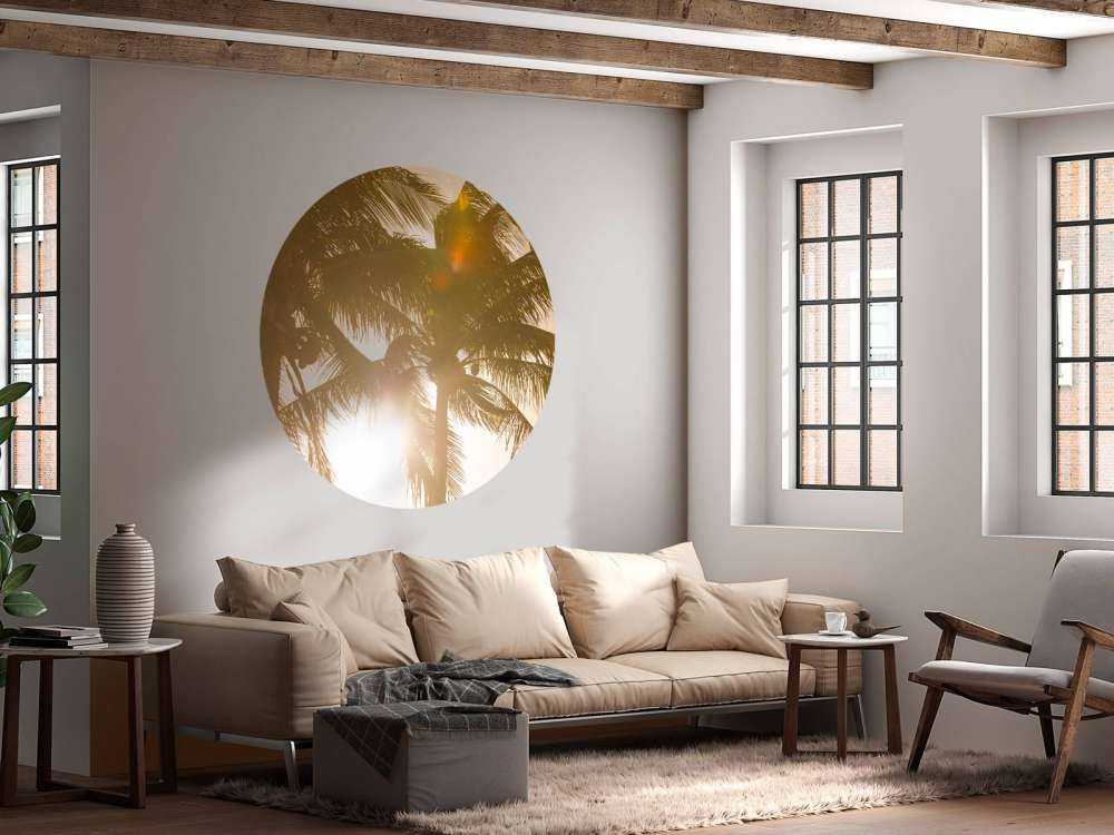 Palmiers tropicaux