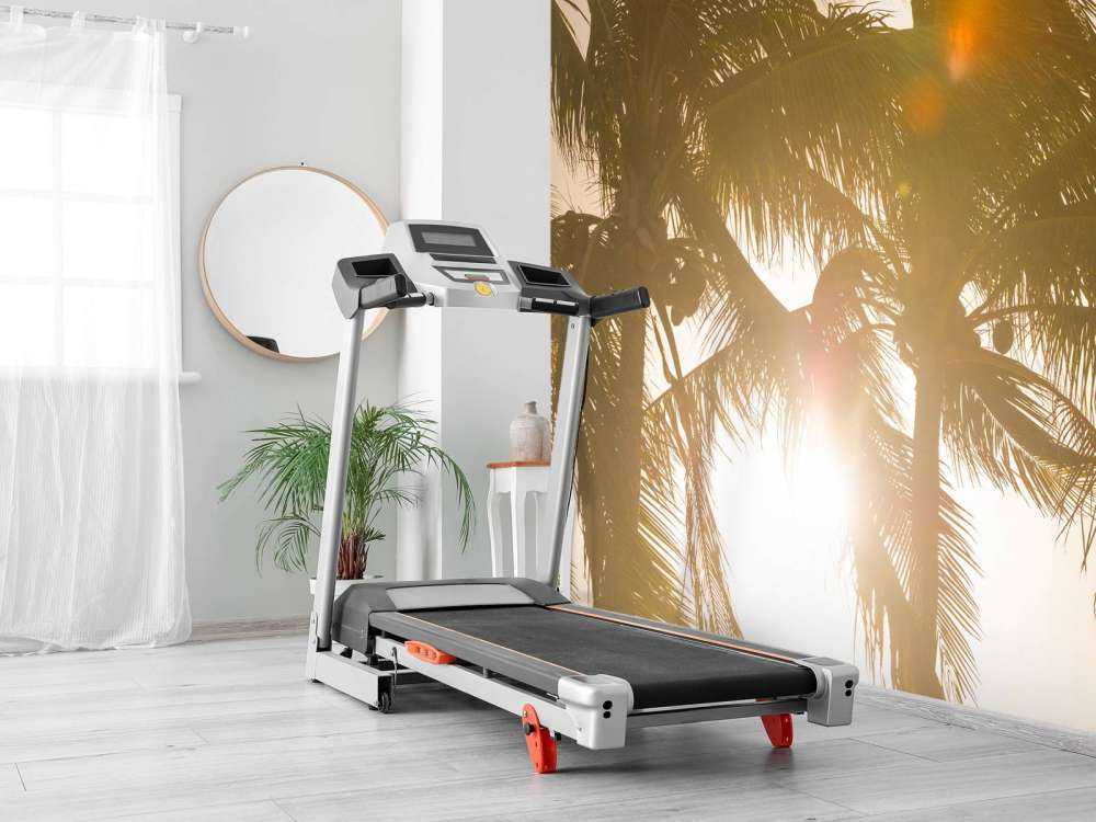 Palmiers tropicaux