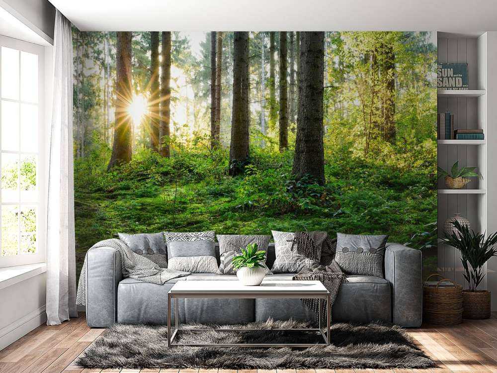 Panorama de la forêt au printemps